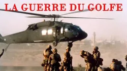 La Guerre du Golf 1990 suivi de L'ONU après la fin de la guerre froide : 1991