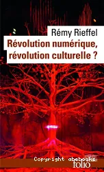 Révolution numérique, révolution culturelle ?