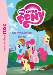 un mystérieux poney