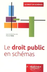 Le Droit public en schémas