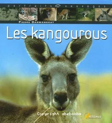 les kangourous