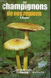 Les Champignons de nos régions