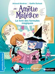 Le livre des formules magiques