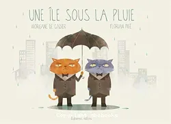 Une ile sous la pluie