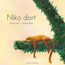 Niko dort