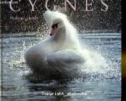 Cygnes