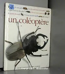 Qui suis-je ? un coléoptere