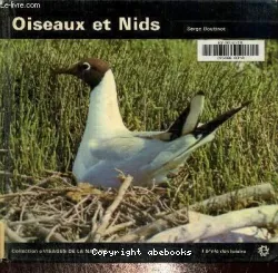 Oiseaux et nids...