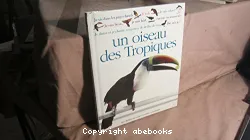 Qui suis-je ? un oiseau des tropiques