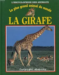 La girafe