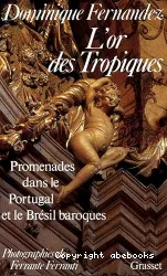 L'or des tropiques