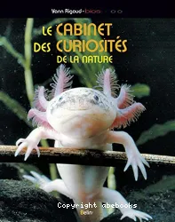 Le cabinet des curiositées de la nature