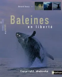 Baleines en liberté