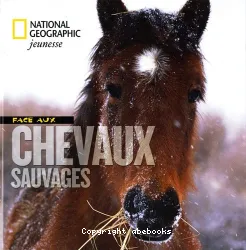 Face aux chevaux sauvages