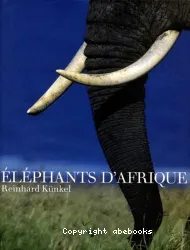 Eléphants d'Afrique