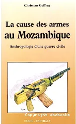 La cause des armes au Mozambique