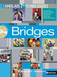 Bridges terminales