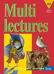 Multi lectures, CE2