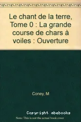 La grande course de chars à voiles