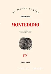 Montedidio : roman