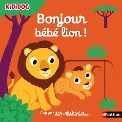 Bonjour nuit bébé lion !