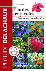 Plantes tropicales à l'état sauvage ou acclimatées