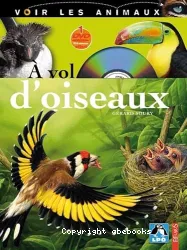 À vol d'oiseaux