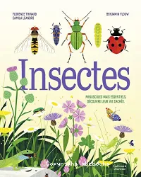 Insectes