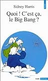 Quoi! c'est ça le big bang?