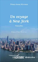 Un voyage à New york