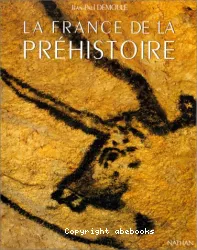 La France de la préhistoire